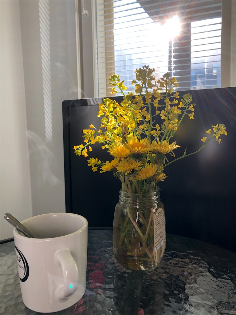 f:id:Masai-Suomi:20200528205310j:image