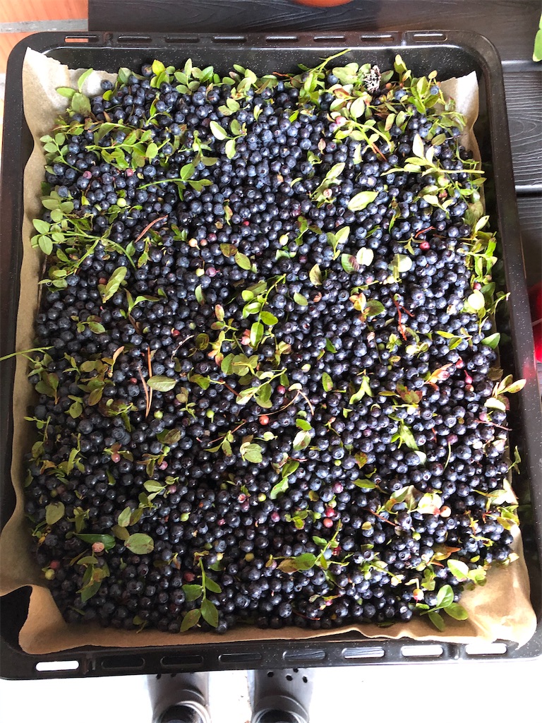 f:id:Masai-Suomi:20200722174301j:image