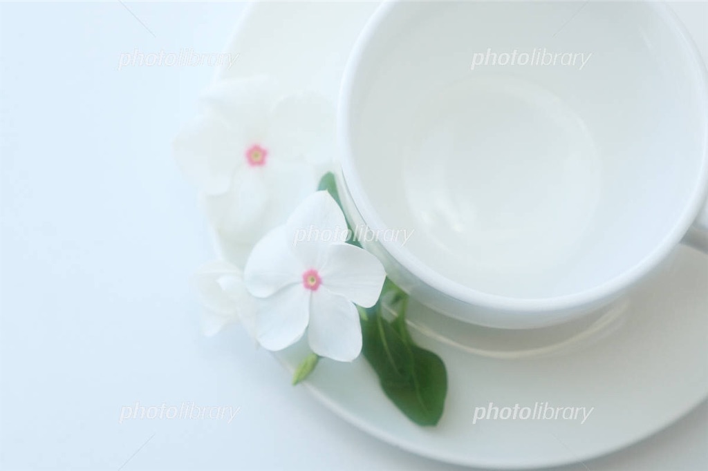 f:id:Masaki_h1008:20200422201027j:image f:id:Masaki_h1008:20200422201027j:image