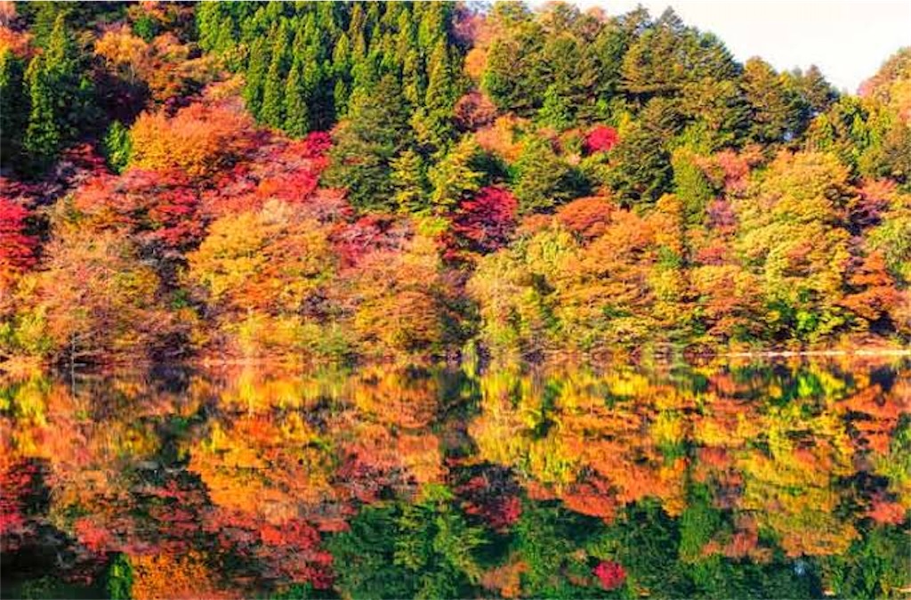 f:id:Masaki_h1008:20200918175821j:image f:id:Masaki_h1008:20200918175821j:image