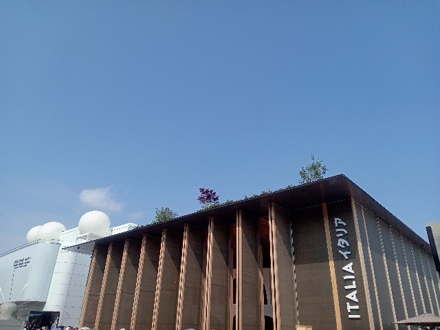 f:id:Masan55:20250601224240j:image