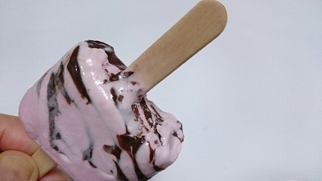 f:id:Masayan_W:20170204104909j:image