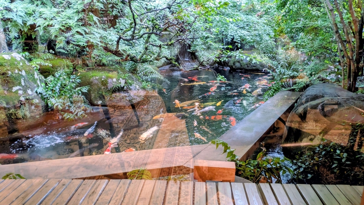 店内から眺める庭園。窓越しに緑が広がり、鯉が泳ぐ池が見えます