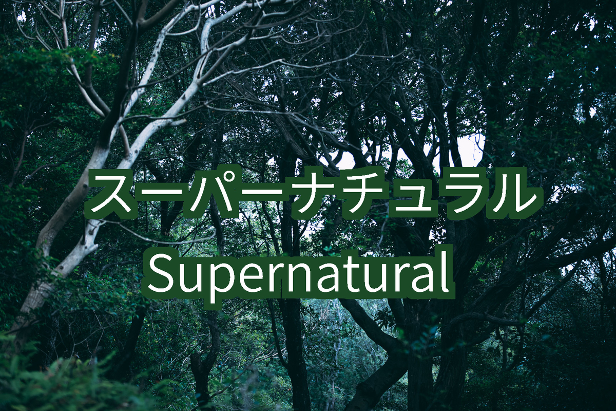 f:id:Mashio:20210216170739j:plain