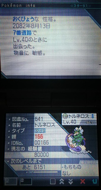 ポケモンbw トルネロス徘徊乱数 Master 166のブログ ポケモンbw トルネロス徘徊乱数 Master 166のブログ