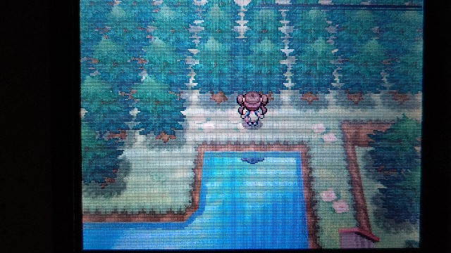 ポケモンbw2 隠し穴乱数 6vメタモン編 Master 166のブログ ポケモンbw2 隠し穴乱数 6vメタモン編 Master 166のブログ