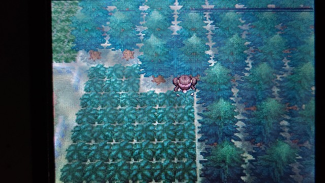 ポケモンbw2 隠し穴乱数 6vメタモン編 Master 166のブログ