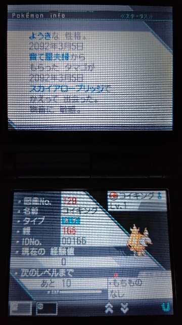 ポケモンbw 色孵化乱数の話 Master 166のブログ