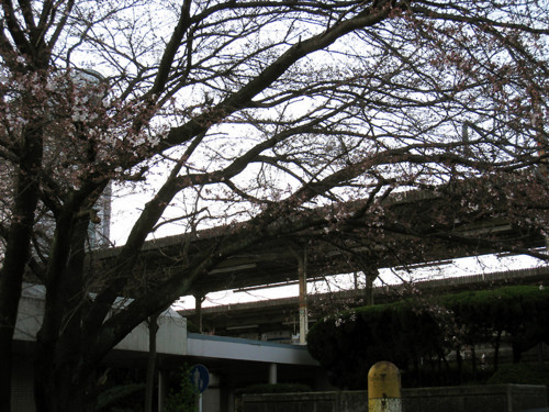 f:id:Master_koasa:20090331233922j:image