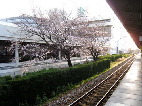 f:id:Master_koasa:20090331233924j:image