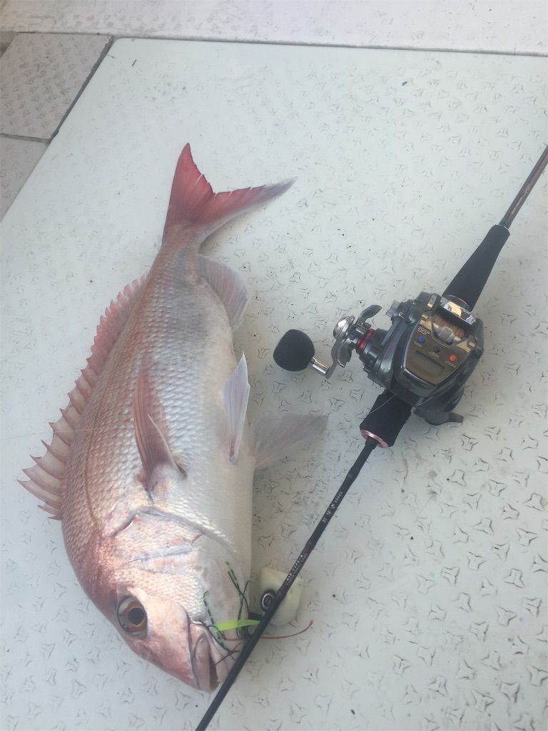 f:id:MatauMarin:20190129152603j:image