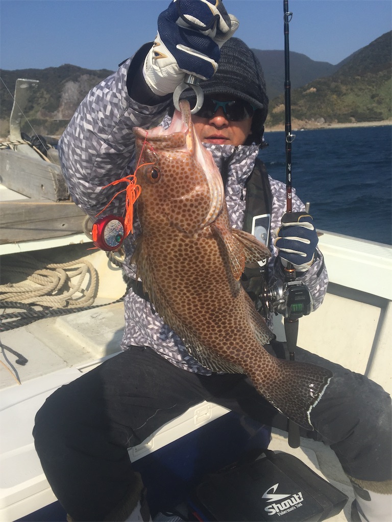 f:id:MatauMarin:20190129152613j:image