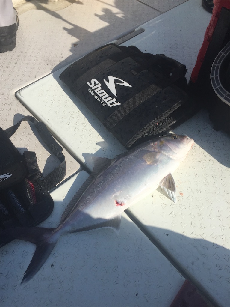 f:id:MatauMarin:20190129152623j:image