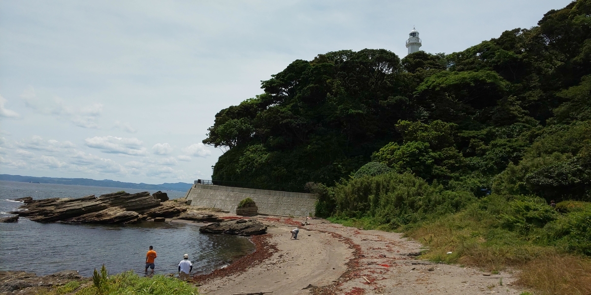 f:id:MatsushimaMichiru:20190615133450j:plain f:id:MatsushimaMichiru:20190615133450j:plain