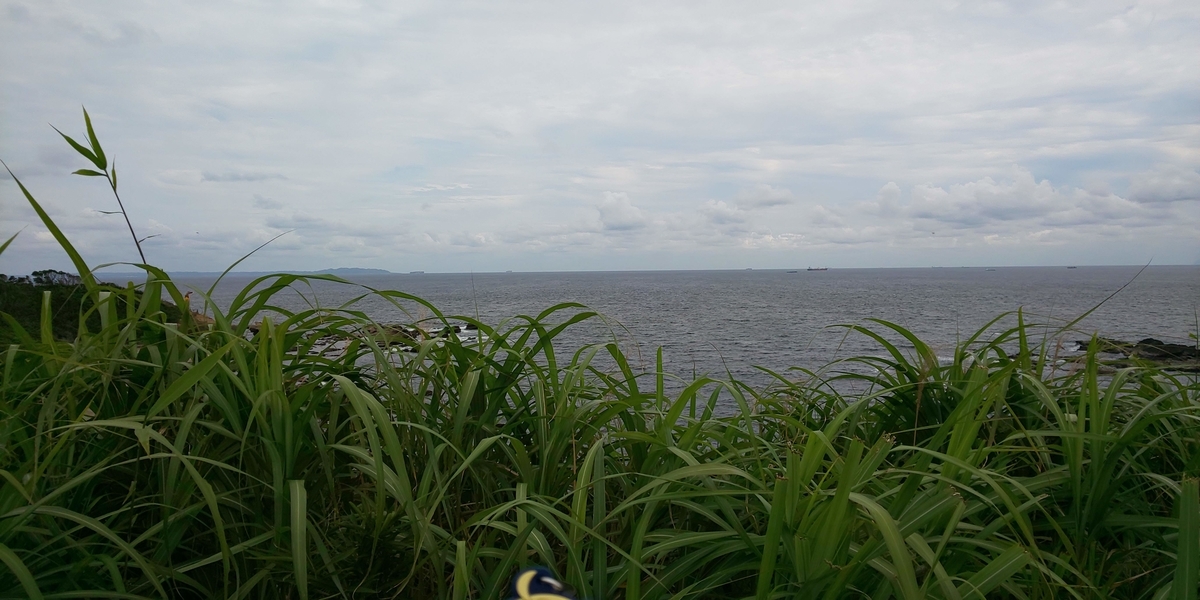 f:id:MatsushimaMichiru:20190615141713j:plain f:id:MatsushimaMichiru:20190615141713j:plain