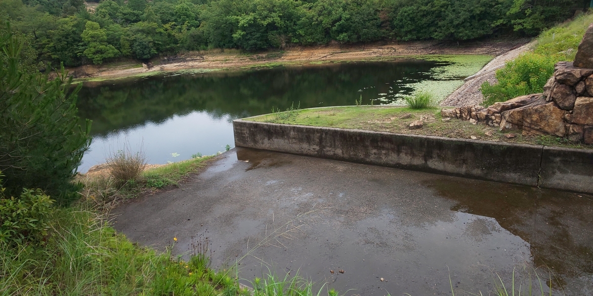 f:id:MatsushimaMichiru:20190717215357j:plain f:id:MatsushimaMichiru:20190717215357j:plain
