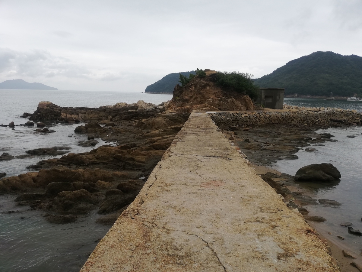 f:id:MatsushimaMichiru:20190717220231j:plain f:id:MatsushimaMichiru:20190717220231j:plain