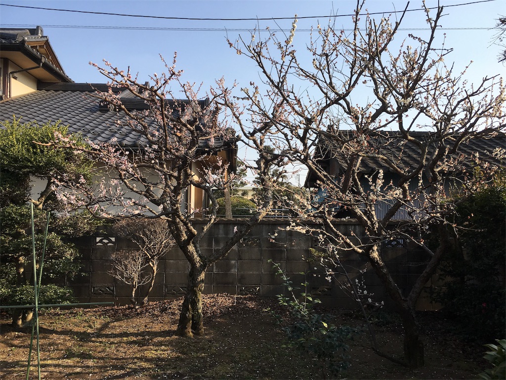 f:id:Matthew-S:20170410200300j:image f:id:Matthew-S:20170410200300j:image