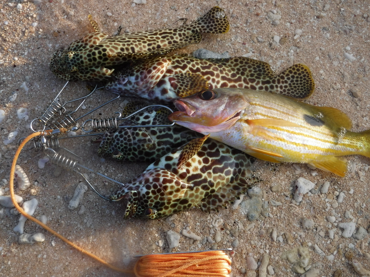 f:id:Mattsunkun:20210223170123j:plain