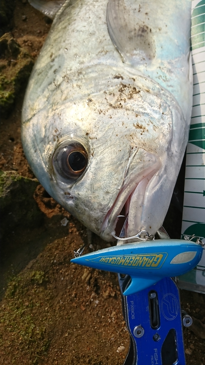 f:id:Mattsunkun:20210305180108j:plain