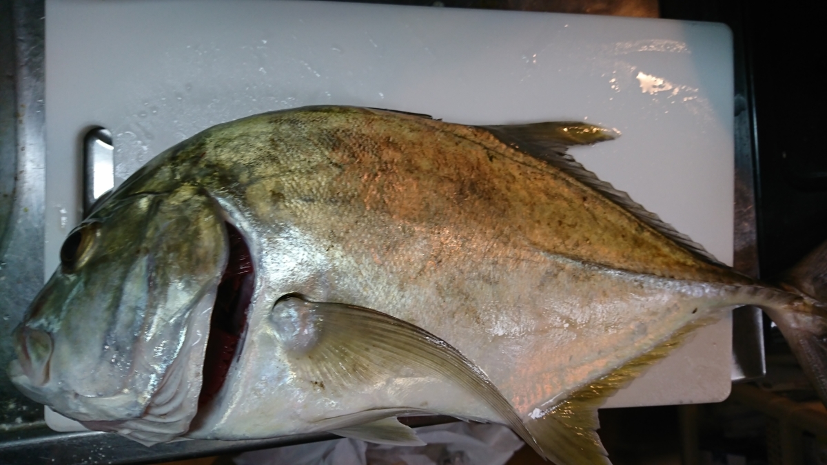 f:id:Mattsunkun:20210305180653j:plain