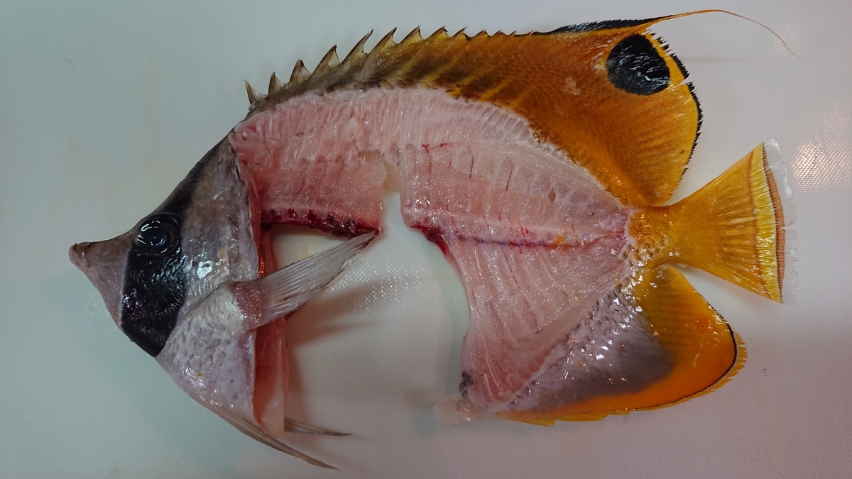 f:id:Mattsunkun:20220326130417j:plain