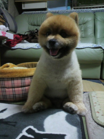 f:id:Maxwell:20100703201230j:image:w360:left