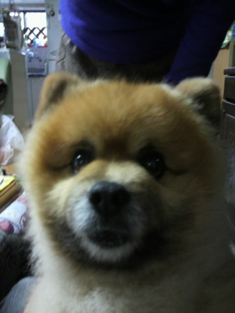 f:id:Maxwell:20110224134454j:image:left f:id:Maxwell:20110224134454j:image:left