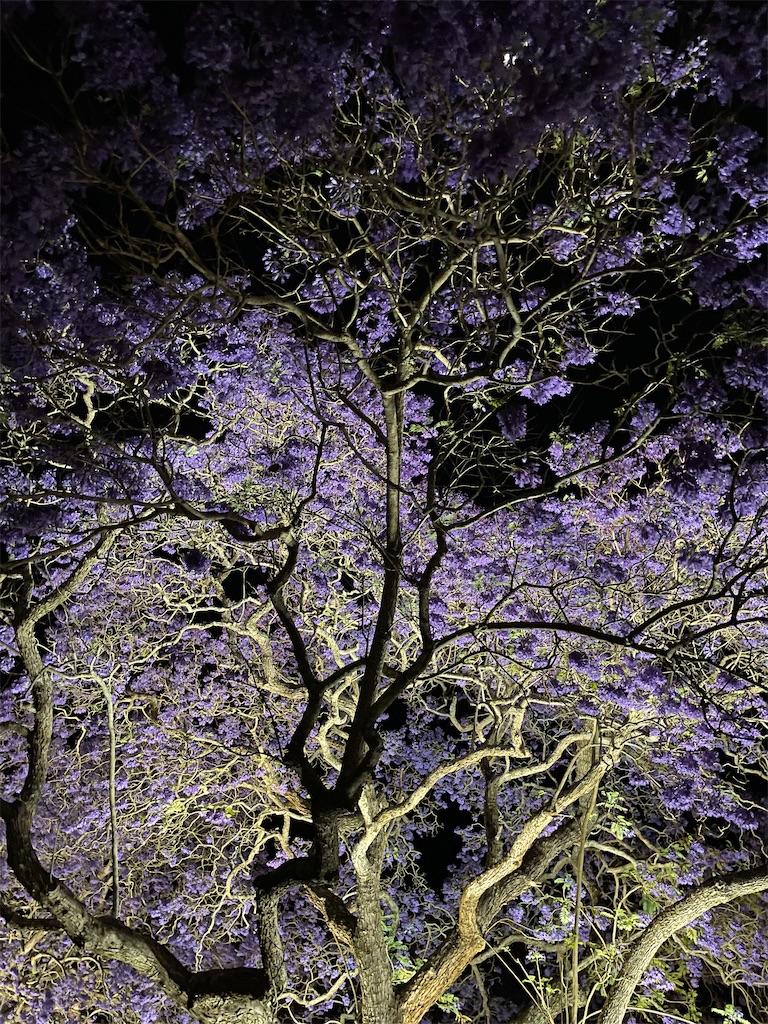 f:id:May10932:20231031104450j:image f:id:May10932:20231031104450j:image