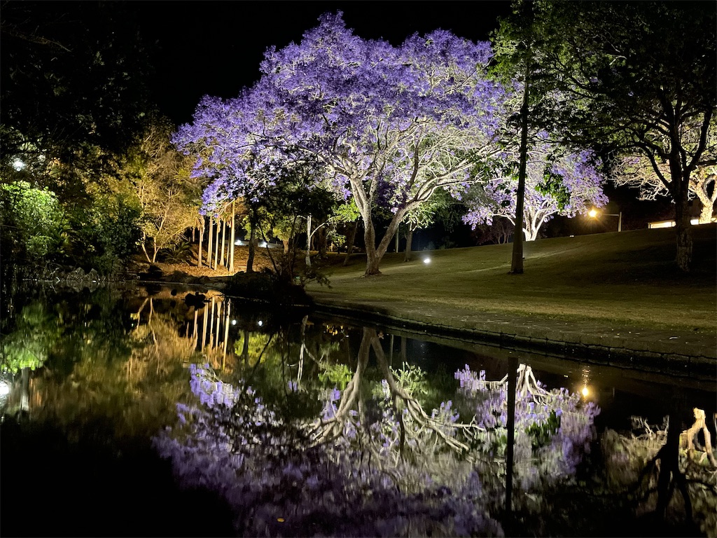 f:id:May10932:20231031104504j:image f:id:May10932:20231031104504j:image