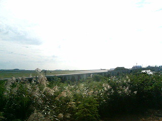 f:id:MayField:20051103150536j:image