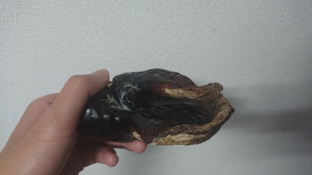 f:id:Mayfool:20190803130002j:image f:id:Mayfool:20190803130002j:image