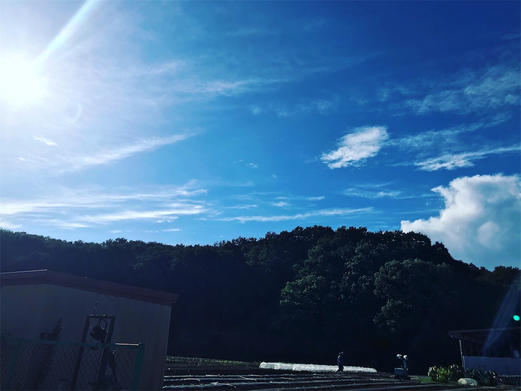 f:id:Mayu1110:20200911170200j:image f:id:Mayu1110:20200911170200j:image
