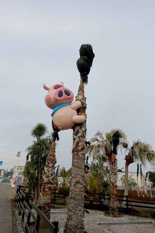 f:id:Mayugeloki:20190327012523j:plain f:id:Mayugeloki:20190327012523j:plain