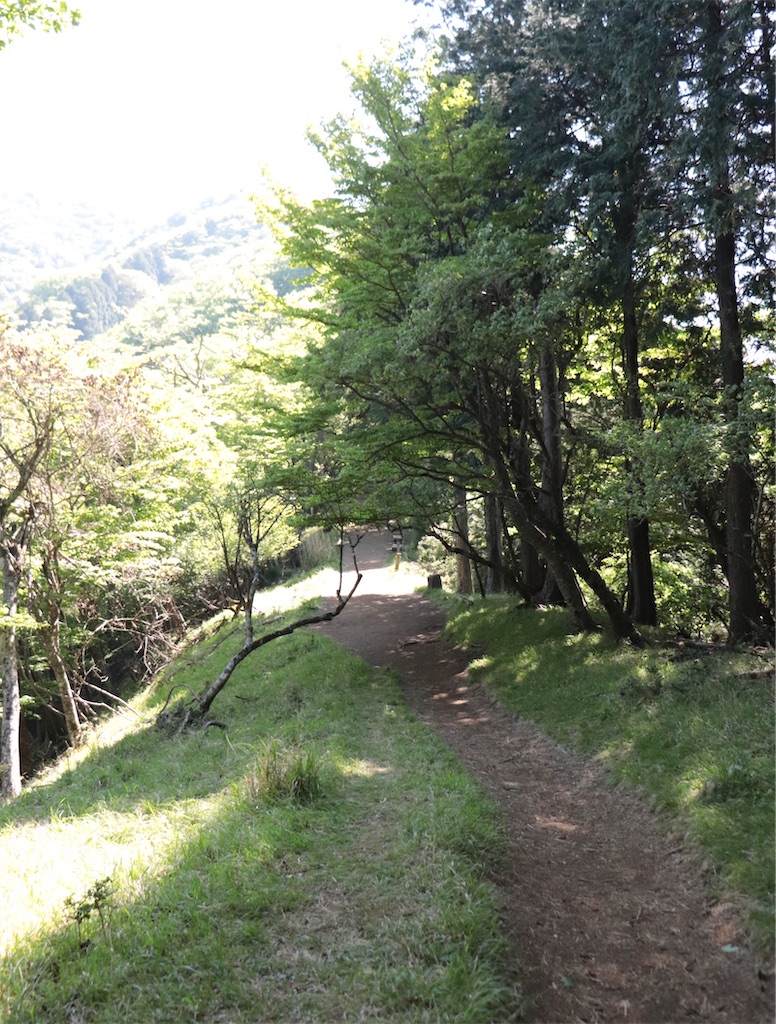 f:id:Mayuko_m:20260521165919j:image