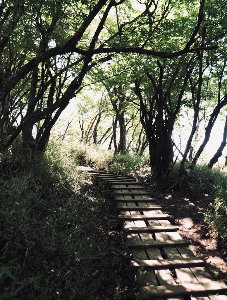 f:id:Mayuko_m:20260521165947j:image