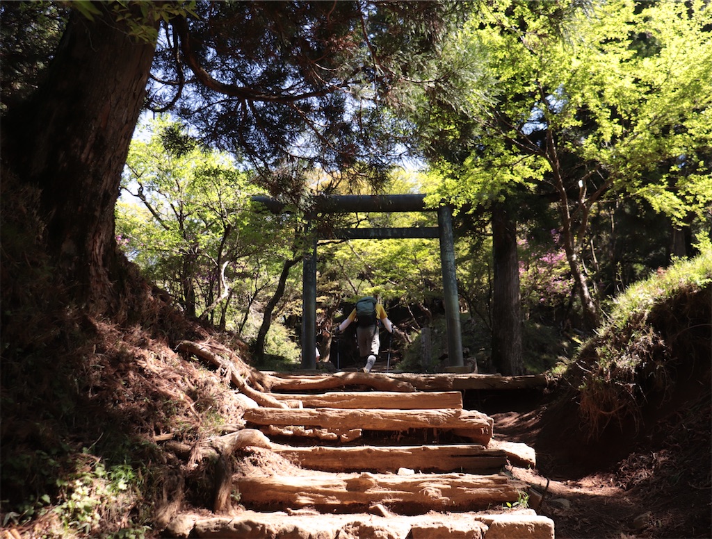 f:id:Mayuko_m:20260521165958j:image