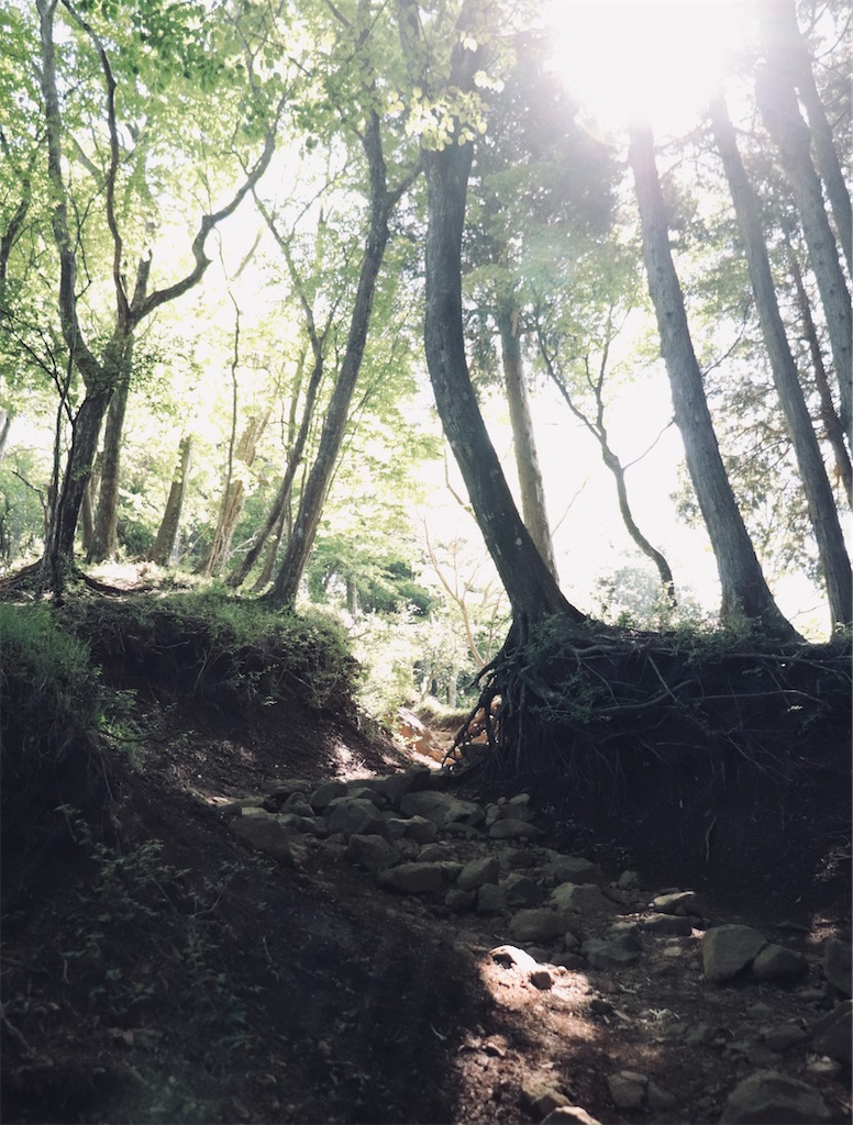 f:id:Mayuko_m:20260521170005j:image