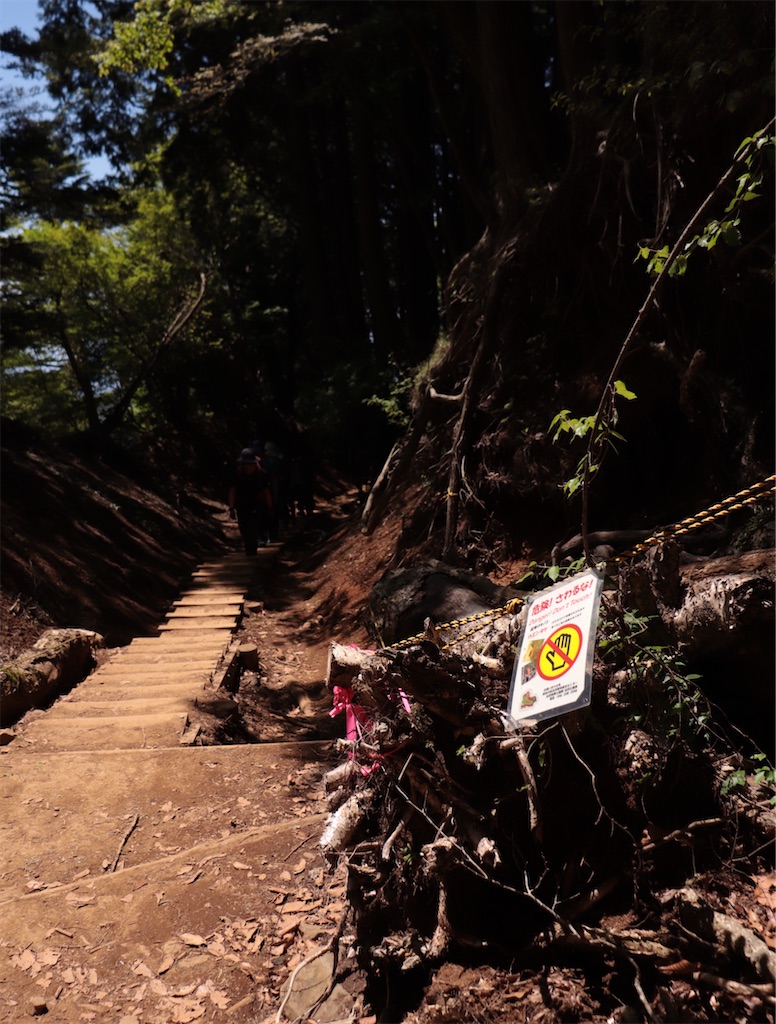 f:id:Mayuko_m:20260521170014j:image
