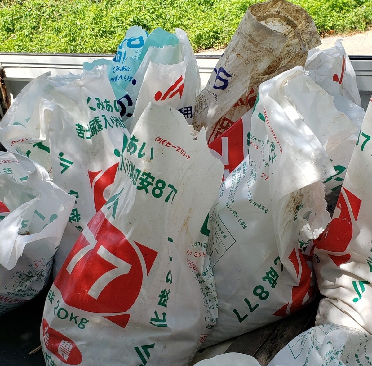 軽トラ荷台に積んだ「バラス（サンゴの欠片）」
