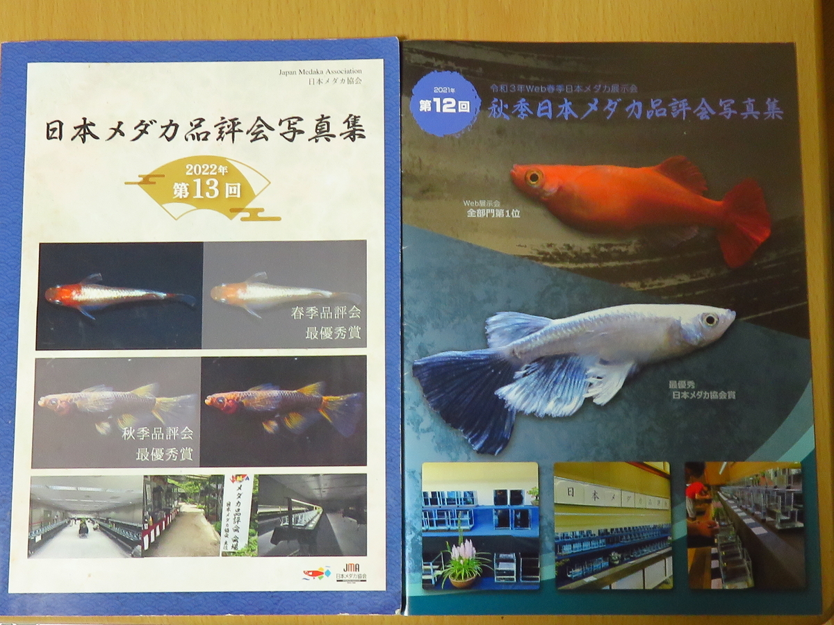 錦鯉 金魚 メダカ 品評会