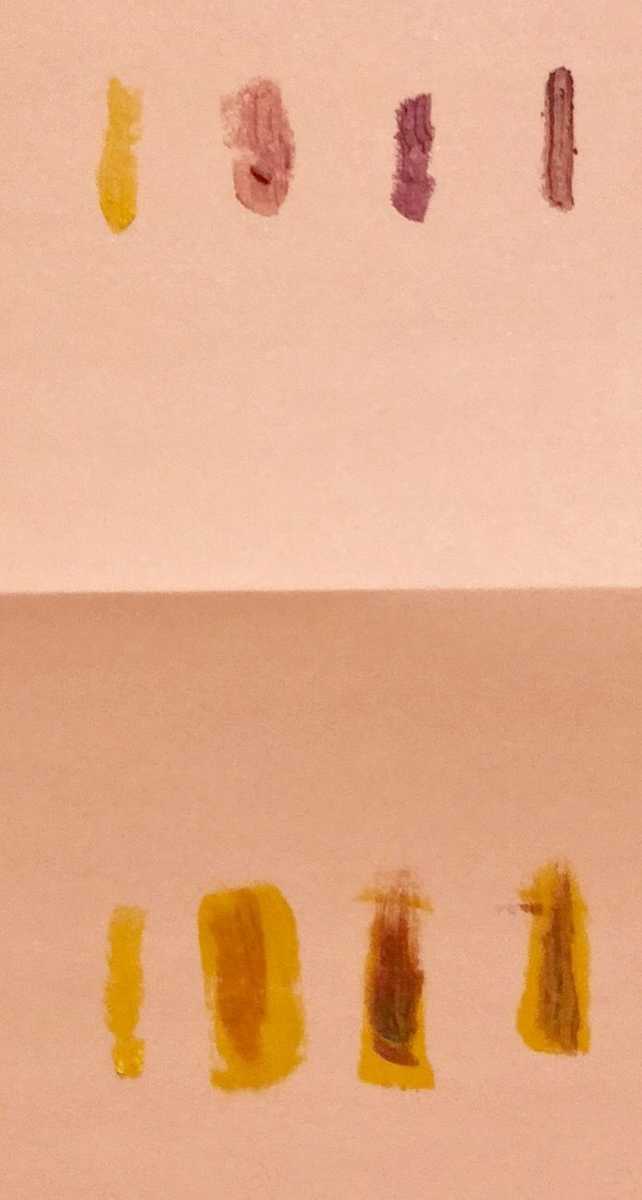 セリアのイエローリップをブラウンリップに重ねてみた結果 発色が強すぎ 素が一番 ロマンというほどでもない