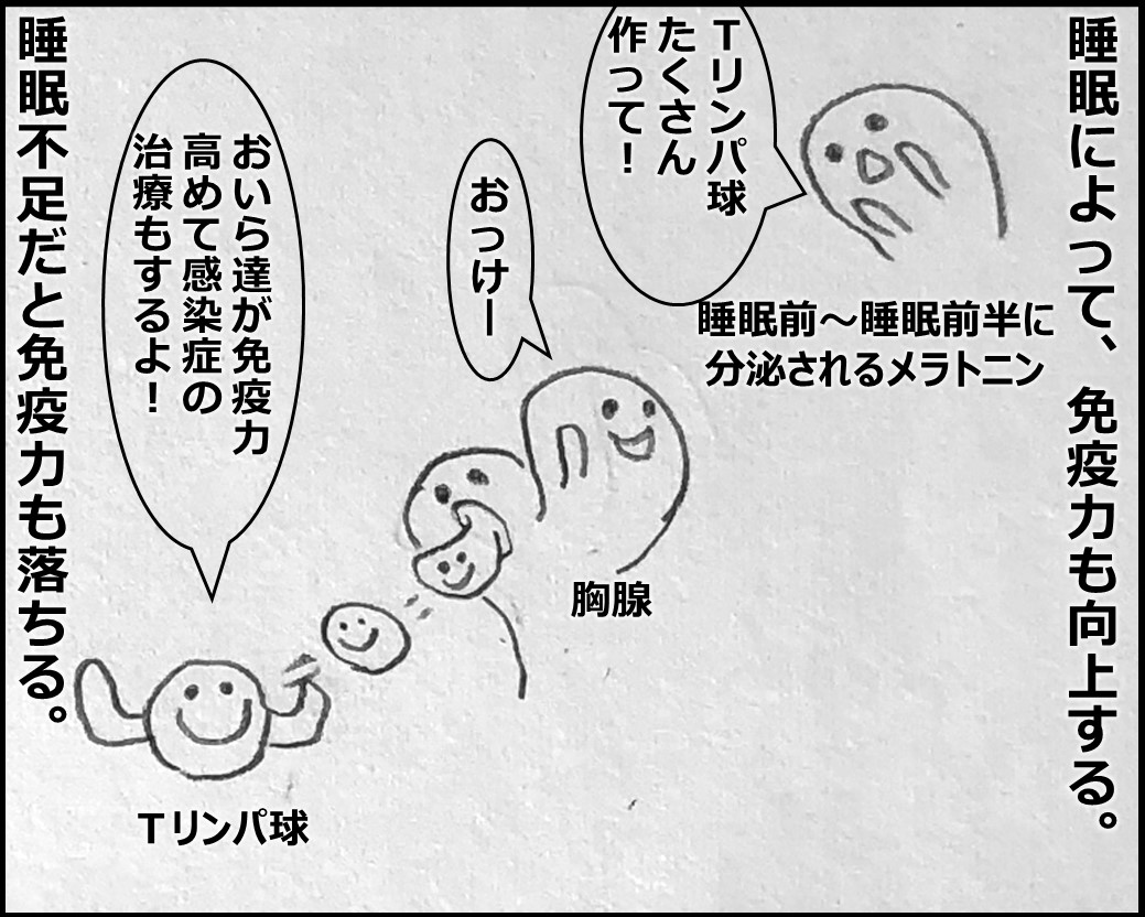 f:id:Megumi_Shida:20191106160250j:plain f:id:Megumi_Shida:20191106160250j:plain