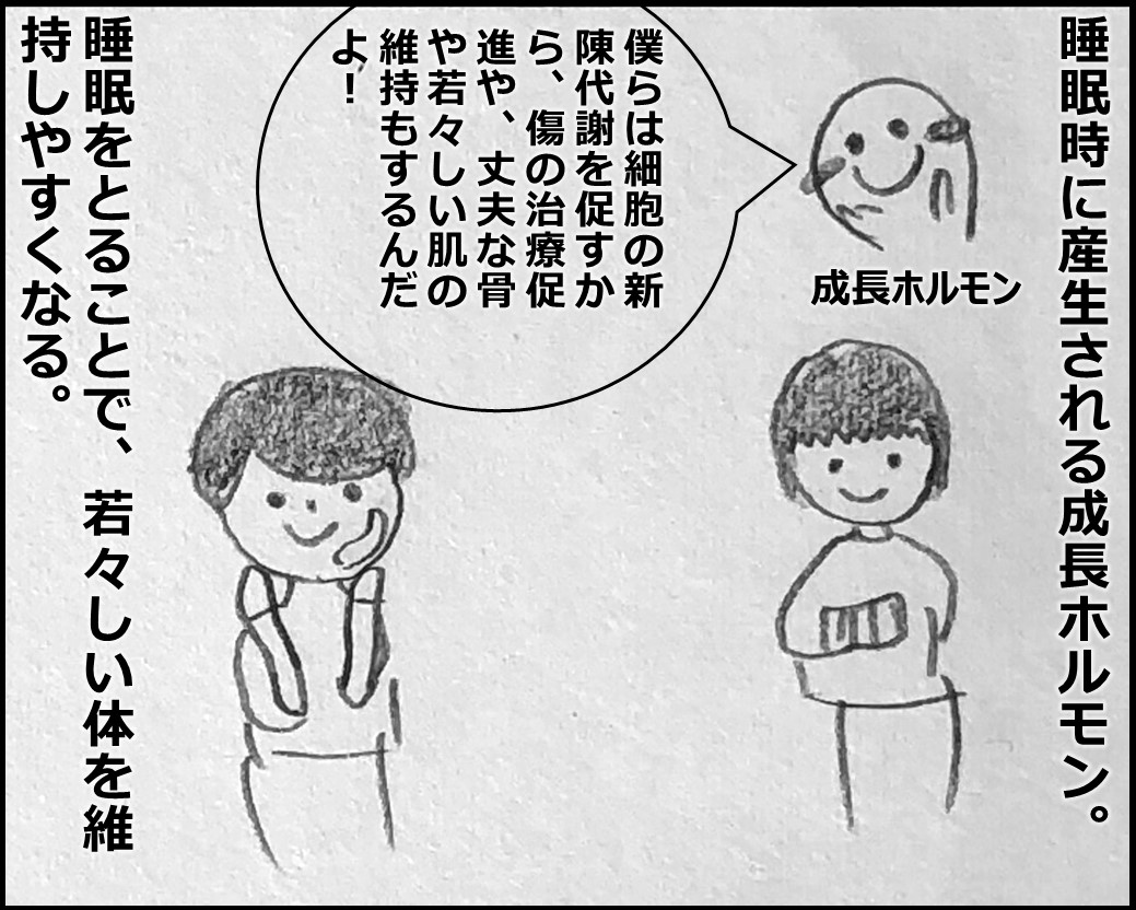 f:id:Megumi_Shida:20191106160259j:plain f:id:Megumi_Shida:20191106160259j:plain