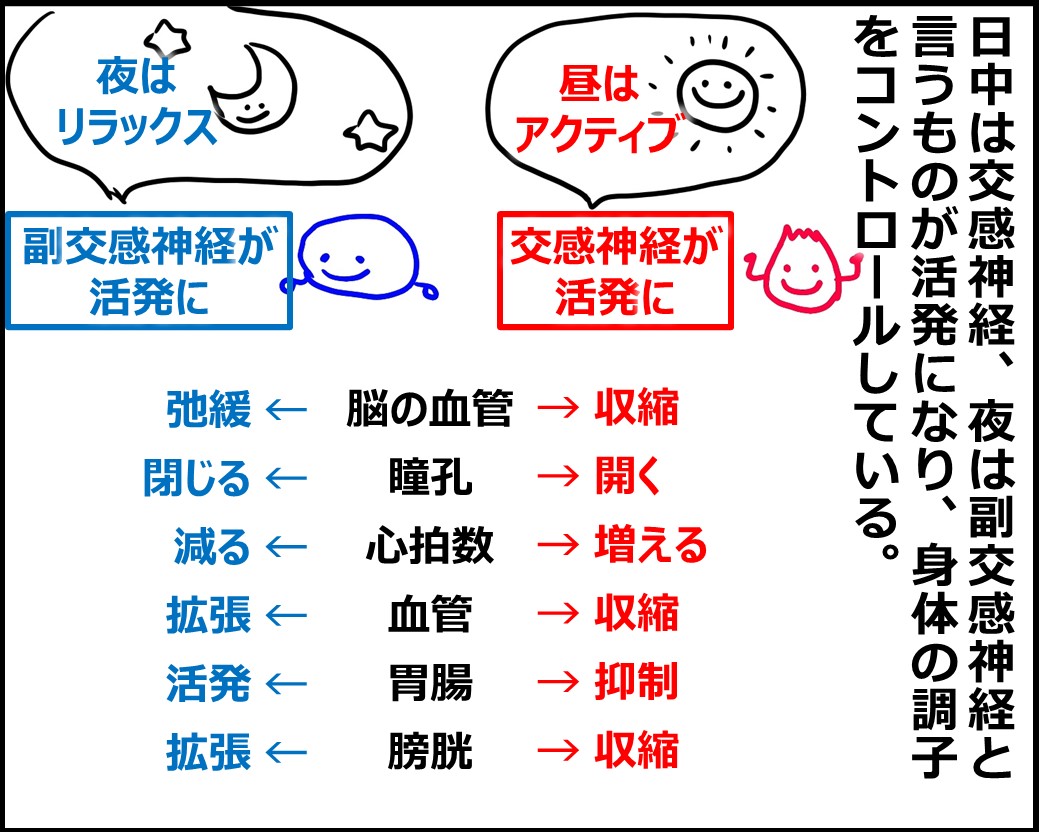 f:id:Megumi_Shida:20200821153910j:plain f:id:Megumi_Shida:20200821153910j:plain