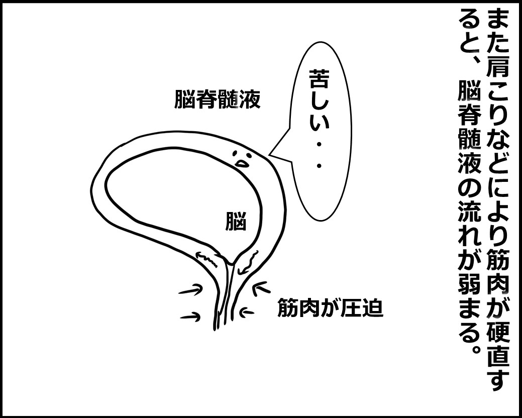 f:id:Megumi_Shida:20200824074325j:plain
