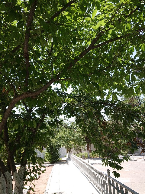 f:id:Megureca:20230616224944j:image