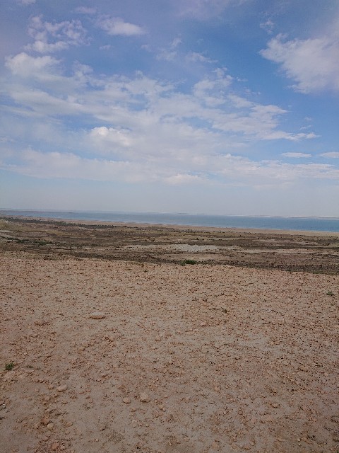 f:id:Megureca:20230619012527j:image