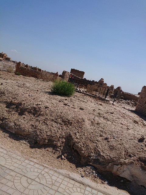 f:id:Megureca:20230619134301j:image