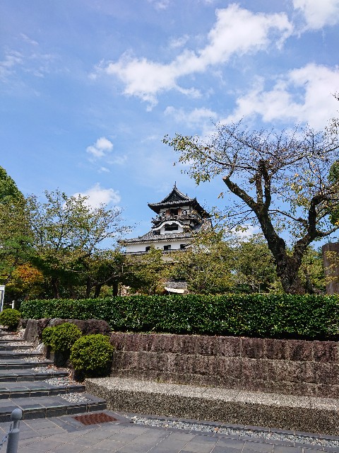 f:id:Megureca:20230822223835j:image